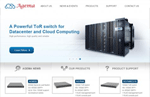 Website Design - Agema Systems